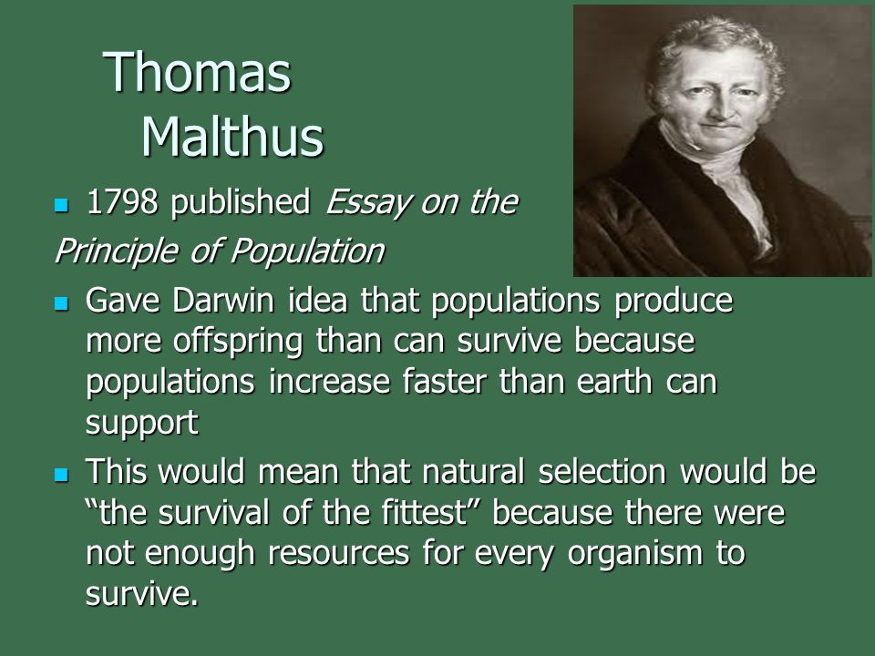 Robert malthus essay